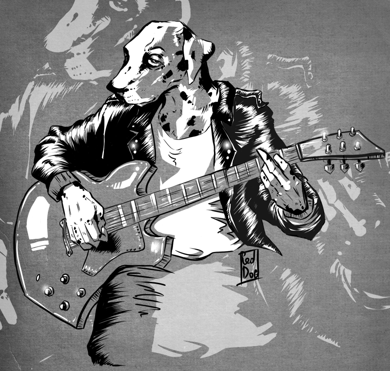 dalmatin копия.jpg