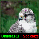 Sockol-onimia.gif