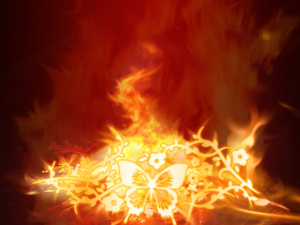 огненный цветок.jpg